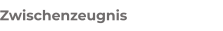 Zwischenzeugnis